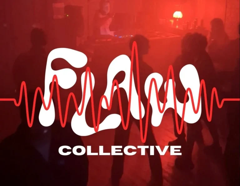 FLAW Collective - DJ workshop and social for LGBTQ+ people, women and marginalised genders — GUT LEVEL