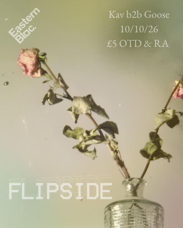 Flipside