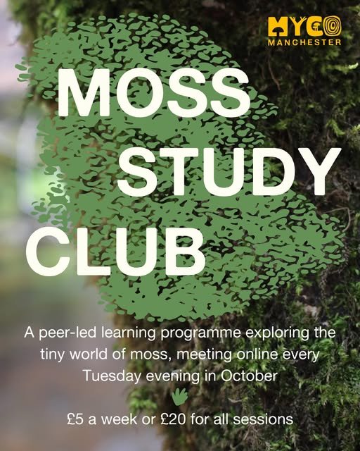 Our third & final study club of the year is now live, and it's all about MOSS